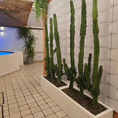Casaemare